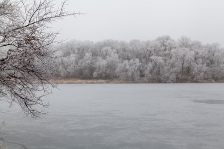 Beautiful landscape of the river on a winter cloudy day. Tree branches in the foregroundの写真素材