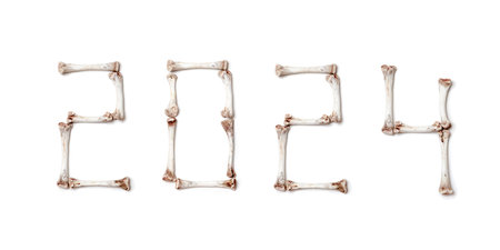 2024 year number is made up of digits with a unique design from mouth-watering chicken bones on a white backgroundの写真素材