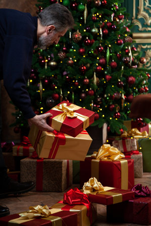 A gray-haired middle-aged man of aristocratic appearance in a dark blue sweater lays out gifts near the Christmas treeの写真素材