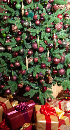 Gifts under the Christmas tree. Several boxes in beautiful packaging with red bows lie under the branches of a decorated Christmas tree.の写真素材