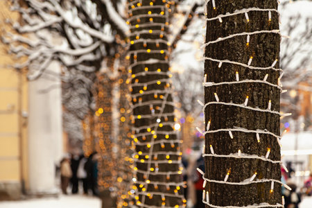 New Year street decor in a modern city. Tree trunks are densely entwined with wires of electric garlandsの写真素材