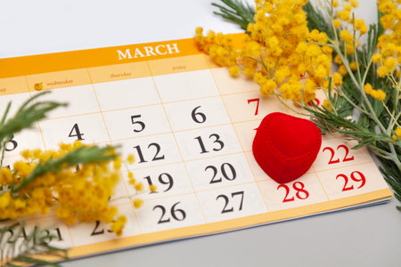 wedding day has been set. The red box in the form of a heart lies on the paper calendar of the month. Nearby lies a branch of yellow mimosaの写真素材