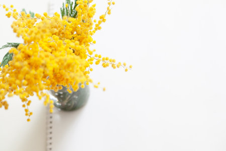 spring came. Branch of yellow mimosa on a white background top view. Left sheet with tear-off calendar perforationの写真素材