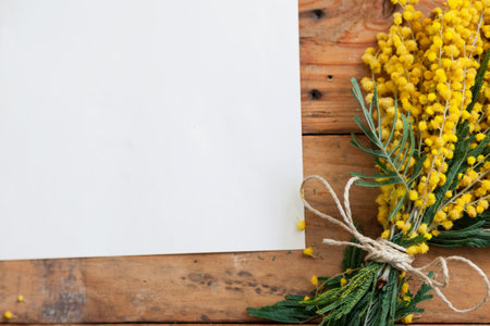 Spring still life. A branch of yellow mimosa lies on wooden boards. Nearby lies a sheet of white paperの写真素材