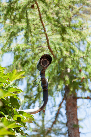 Video surveillance camera is mounted on a metal stand. In the background is a green larch tree. Large green leaves of plants grow nearby. Bottom viewの写真素材