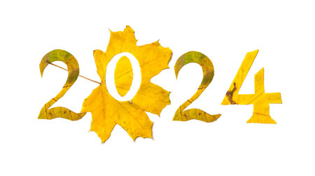 Autumn numbers. 2024 is lined with beautiful yellow maple leaves with carved numbers. Isolated on white backgroundの写真素材