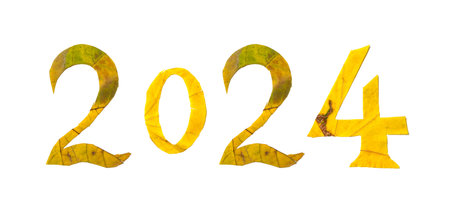 Autumn numbers. 2024 is lined with beautiful yellow maple leaves with carved numbers. Isolated on white backgroundの写真素材
