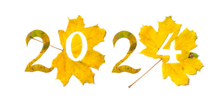 Autumn numbers. 2024 is lined with beautiful yellow maple leaves with carved numbers. Isolated on white backgroundの写真素材