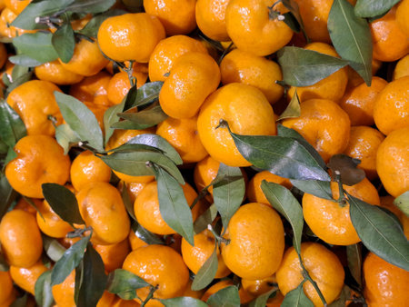 Background photo of tangerine texture. A bunch of fresh tangerines with green leaves lie on the counter in a supermarketの写真素材