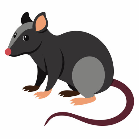 Rat on a white background, vector illustration, eps 10.のイラスト素材