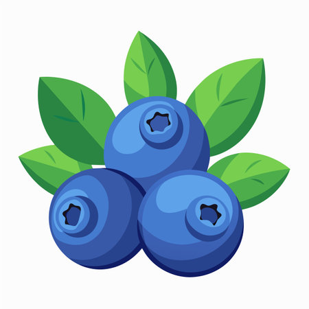 Blueberry vector illustration isolated on white background. Fresh berry with green leaves.のイラスト素材