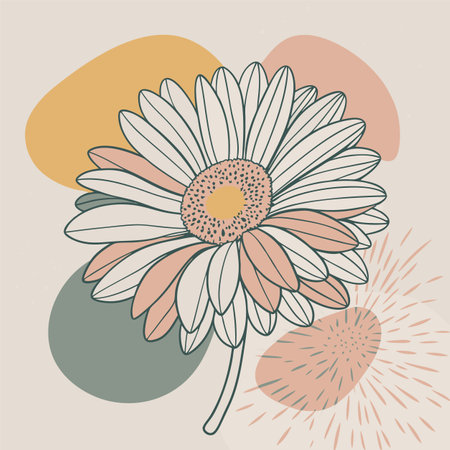 Chamomile flower. Hand drawn vector illustration in vintage style.のイラスト素材