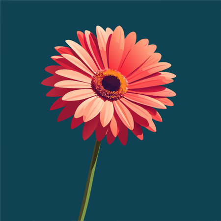 Red gerbera on a dark blue background. Vector illustration.のイラスト素材