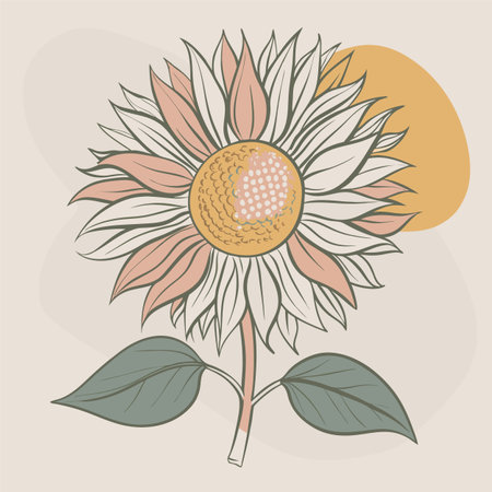 Sunflower. Hand drawn vector illustration in vintage style. Isolated on white background.のイラスト素材