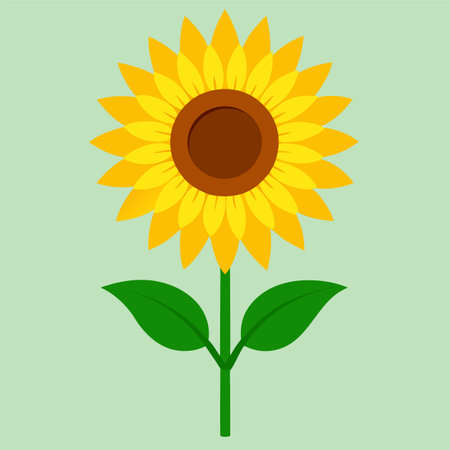 Sunflower icon. Flat illustration of sunflower vector icon for web designのイラスト素材