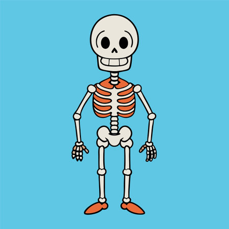 skull pirate skeleton vector illustrationのイラスト素材