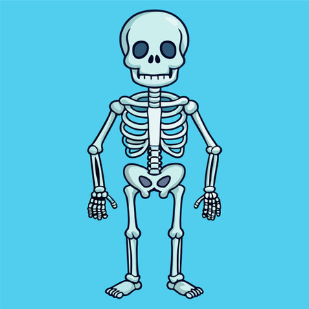 skull pirate skeleton vector illustrationのイラスト素材