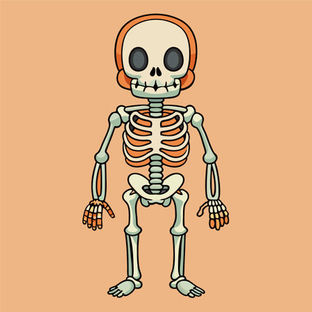skull pirate skeleton vector illustrationのイラスト素材