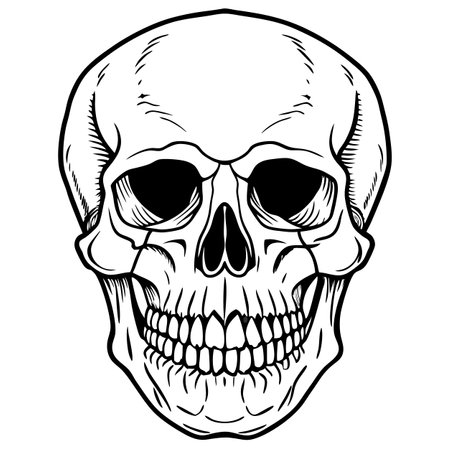 vector illustration of skullのイラスト素材