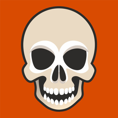 vector illustration of skullのイラスト素材