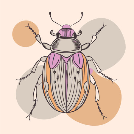 vector illustration of spiderのイラスト素材