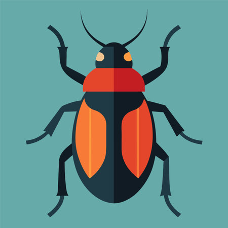 macro vector ilustartion of beetle insect