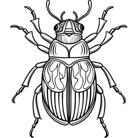 macro vector ilustartion of beetle insectのイラスト素材
