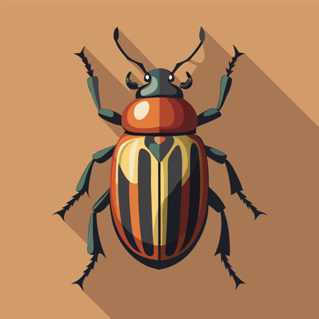 macro vector ilustartion of beetle insectのイラスト素材