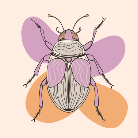 macro vector ilustartion of beetle insectのイラスト素材