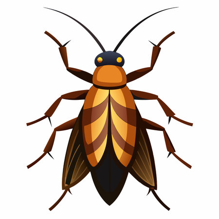 vector illustration of cockroachのイラスト素材