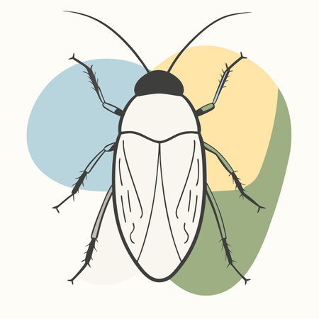 vector illustration of cockroach