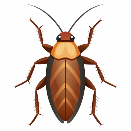vector illustration of cockroachのイラスト素材