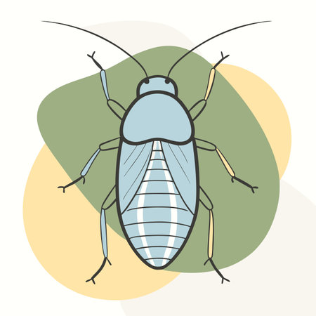vector illustration of cockroach