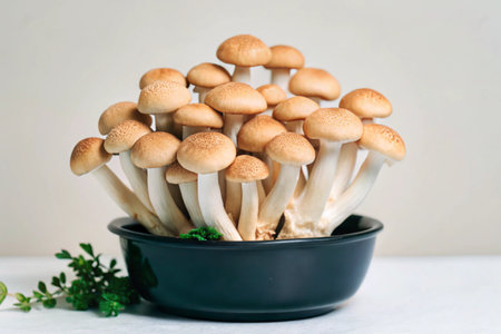 Brown Shimeji mushrooms in a black bowl on a white backgroundの素材