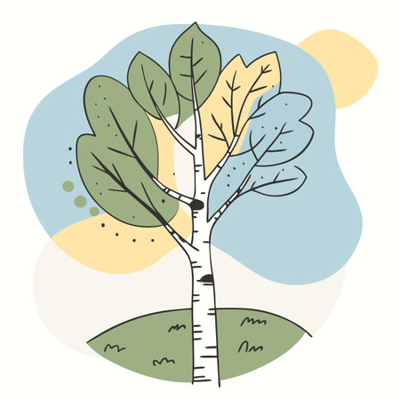 vector illustration of a birchのイラスト素材