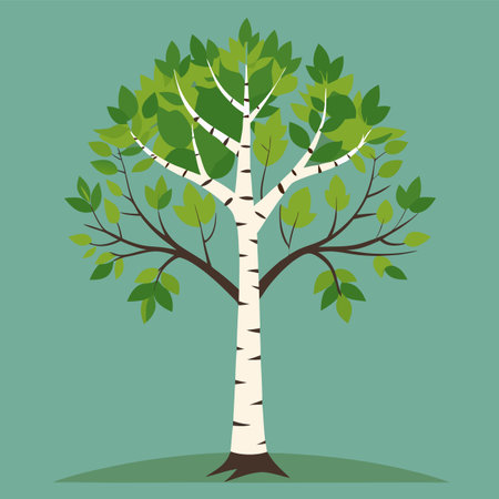 vector illustration of a birchのイラスト素材