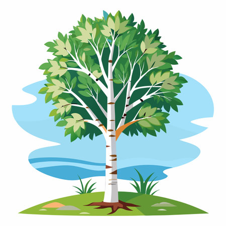 vector illustration of a birchのイラスト素材