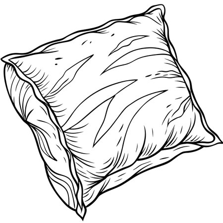 vector illustration of pillow cushionのイラスト素材