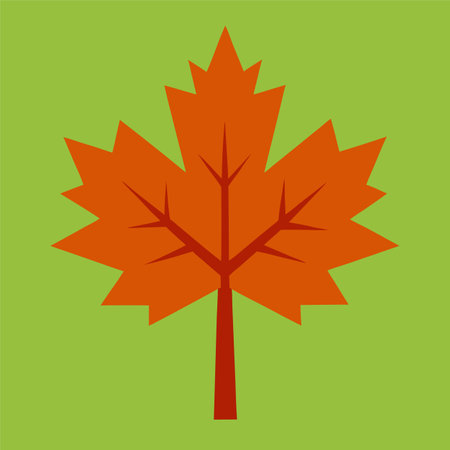 maple tree autumn vector illustrationのイラスト素材