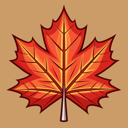 maple tree autumn vector illustrationのイラスト素材