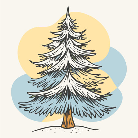 vector illustration of spruceのイラスト素材