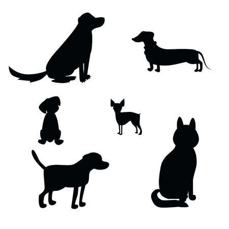 Vector dog breeds silhouettes collection isolated on white. Dog icons collection for cynology, pet clinic and pet shop.のイラスト素材