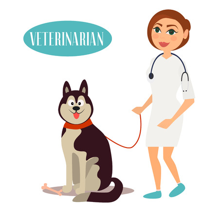 Female Veterinarian Doctor with dog vector illustrationのイラスト素材
