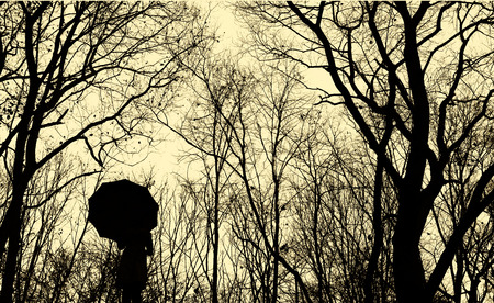 Portrait of people in Forest Pathway, Sepia Tonedの写真素材