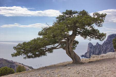 Cloud spaceの写真素材