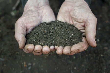 Male hands holding earth  Ecology conceptの写真素材