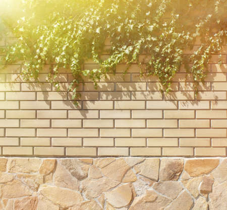 Wall texture background for any designの写真素材