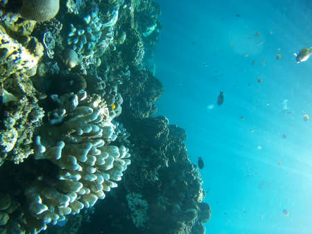 Underwater landmark and part of the main land. Amed village, Bali, Indonesia
