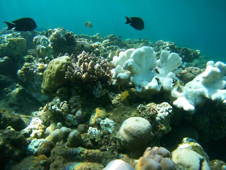 Underwater landmark and part of the main land. Amed village, Bali, Indonesia