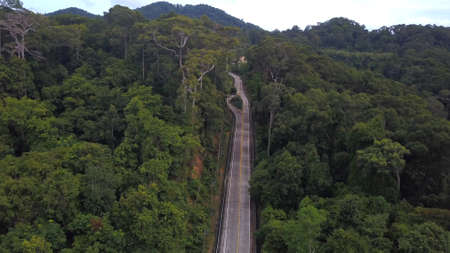 Above asphalt road in beautiful lush green jungle at tropical island of  koh Phangan, Thailandの写真素材
